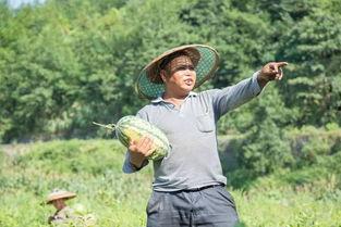 吃瓜群众李冰,揭秘娱乐圈幕后故事