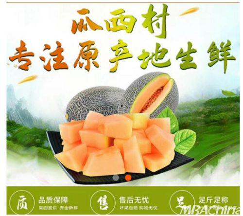 吃哈密瓜味生病了,一尝成疾的警示