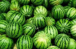 昔阳吃瓜群,揭秘网络社交的趣味与争议