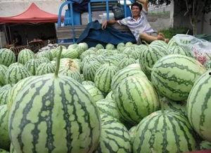 吃瓜为啥崩了,揭秘网络热点的兴衰之谜