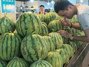 在商场吃瓜,揭秘日常生活中的趣味瞬间