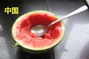 日韩在中国吃瓜事件,揭秘网络舆论的风云变幻