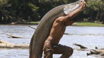 吃瓜群众有鱼吃,揭秘网络热议背后的美食诱惑