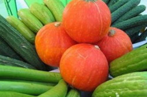 八爪瓜菜怎么吃,探索美味与营养的完美结合