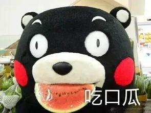 吃瓜剧吧,揭秘娱乐圈幕后故事，带你走进明星真实生活