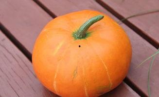 秋季吃瓜有什么好处