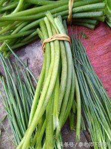 吃瓜卖瓜什么梗,揭秘吃瓜卖瓜背后的趣味与真相  第2张