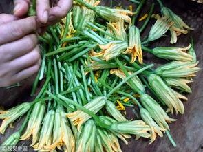 兰瓜花怎么吃