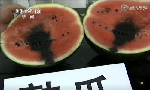 吃瓜人吃泥巴视频,揭秘吃瓜人挑战吃泥巴视频背后的疯狂魅力