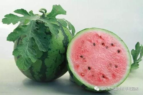 吃瓜不吐皮111,网络热词背后的文化现象  第3张