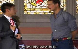 撒贝宁吃瓜群众  第2张