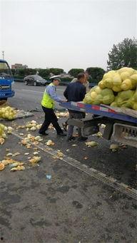 让司机吃瓜  第2张