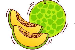 吃哈米瓜视频,探寻美味与营养的完美融合  第2张