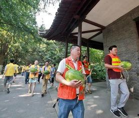 项城吃瓜事件主角,揭秘主角背后的故事