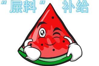 谁拒绝现场吃瓜,揭秘真相背后的冷静观察