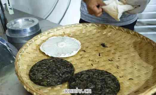 普洱吃瓜饼视频,一场视觉与味蕾的双重盛宴  第3张