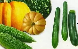 吃瓜coco完整版,揭秘娱乐圈背后的真实故事