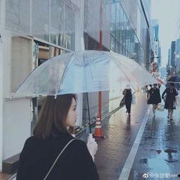 雨中吃瓜梳头,一场别致的夏日时光  第2张