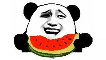 醉猫吃瓜,揭秘娱乐圈的幕后故事