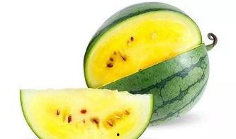 临沂李姓吃瓜,一场别开生面的夏日盛宴 第3张 临沂李姓吃瓜,一场别开生面的夏日盛宴 第3张